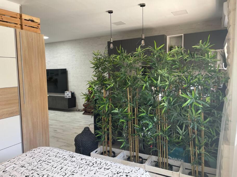 Casa Maui *